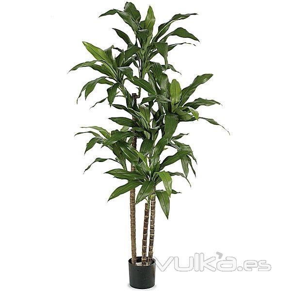 Planta artificial dracaena fragans 150 verde en lallimona.com
