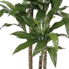 Planta artificial dracaena fragans 150 verde en lallimona.com detalle2