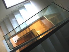 Dinoxia - foto 23