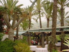 Foto 83 restaurantes en Santa Cruz de Tenerife - El Monasterio