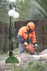 Ecoarbol - foto 15