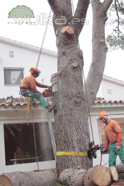 podadores profesional