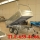 REMOLQUE BASCULANTE DE 2600X1600X500 GALVANIZADO