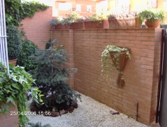 Rehabilitacion de zona de jardin de bajo mantenimiento