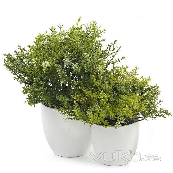 Planta artificial leucalendron doble en lallimona.com