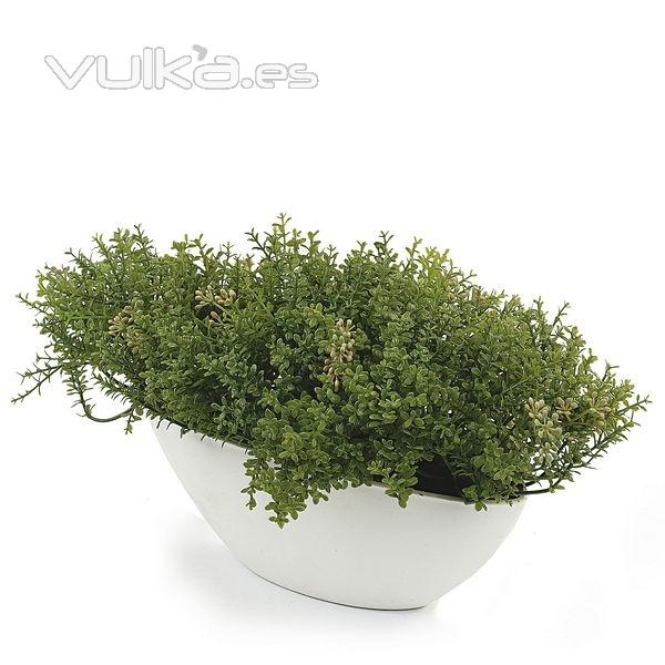 Planta artificial leucalendron pequea en lallimona.com