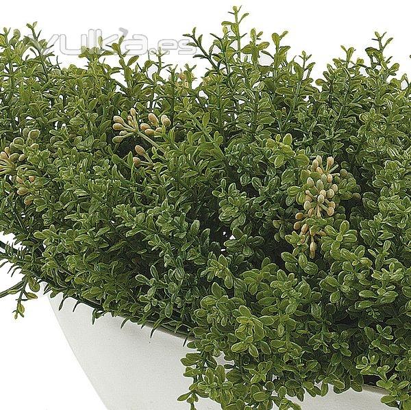 Planta artificial leucalendron pequea en lallimona.com detalle1