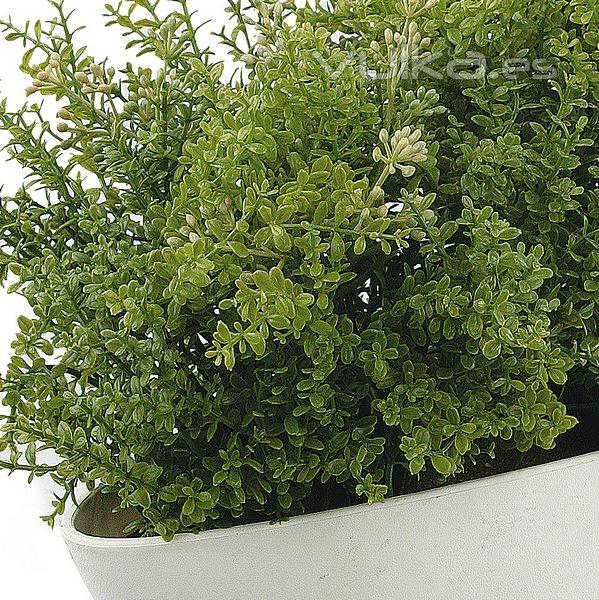 Planta artificial leucalendron verde grande en lallimona.com detalle1
