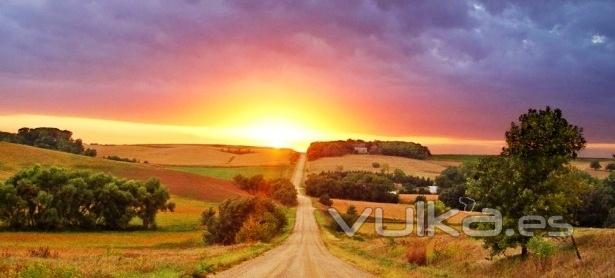 AMANECER EN EL CAMPO