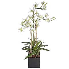 Planta artificial flores cymbidium blancas en lallimona.com