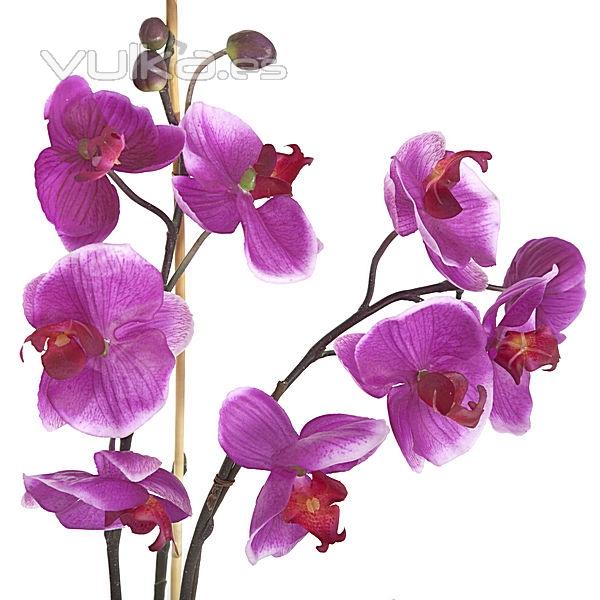 Planta artificial flores orquidea lila en lallimona.com detalle1
