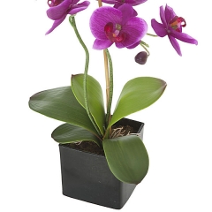 Planta artificial flores orquidea lila en lallimonacom detalle1