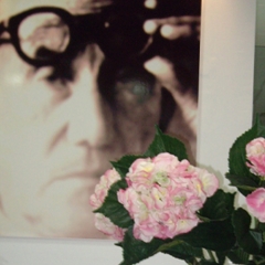 Optica plaza, escaparate3