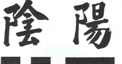 Idiograma  de yin -yang