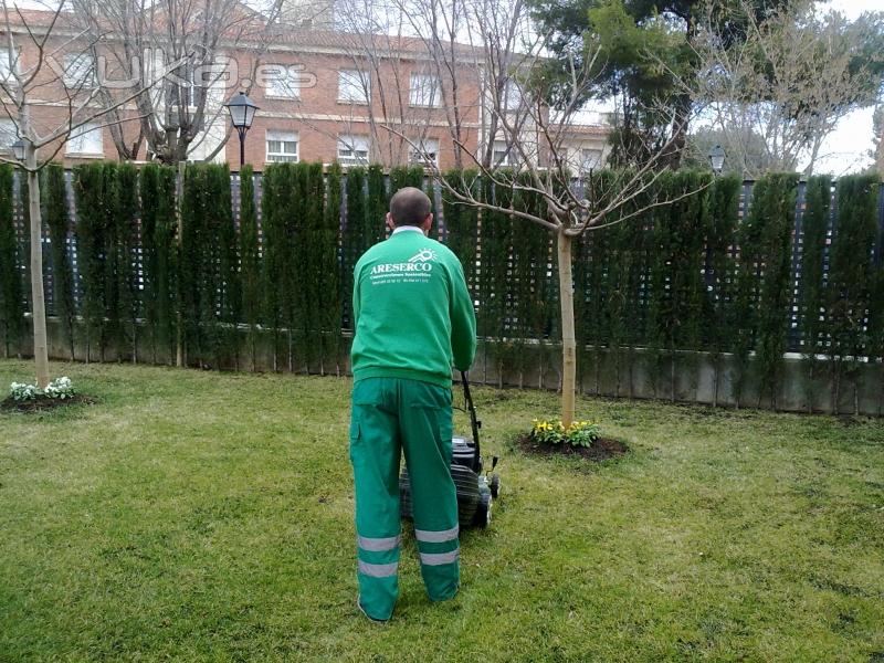 ARESERCO,jardinera ,urb.Santos desamparado Berrio (Albacete)