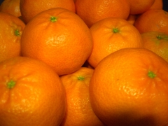 Foto 152 frutales - Naranjas Clementinacom