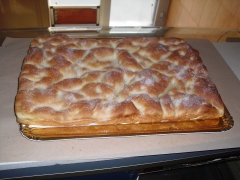 Coca de azucar