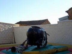 Caida en plancha de toro mecanico elias park