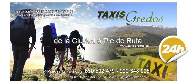 taxi gredos, Hoyos del Espino