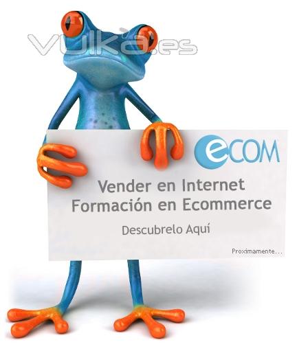 BSAsolutions | Formacin y Proyectos Ecommerce