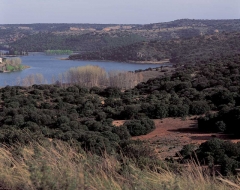 Laguna la colgada