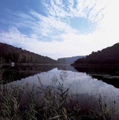 Laguna de san pedro