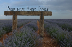 La propiedas