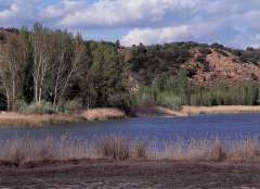 Cola de la laguna de san pedro