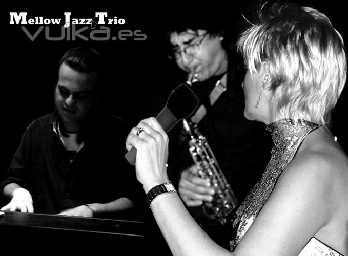 Mellow Jazz Trio presenta sus versiones en un formato muy original, compuesto por voz, piano y saxo tenor. En su ...