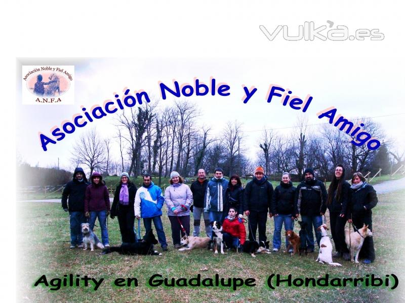 Adietramiento San Sebastian,Guipuzcoa, Agility Asoc. Noble y Fiel Amigo ANFA Enero 2011
