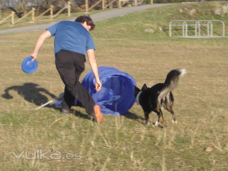 Adietramiento San Sebastian,Guipuzcoa, Agility Asoc. Noble y Fiel Amigo ANFA Enero 2011