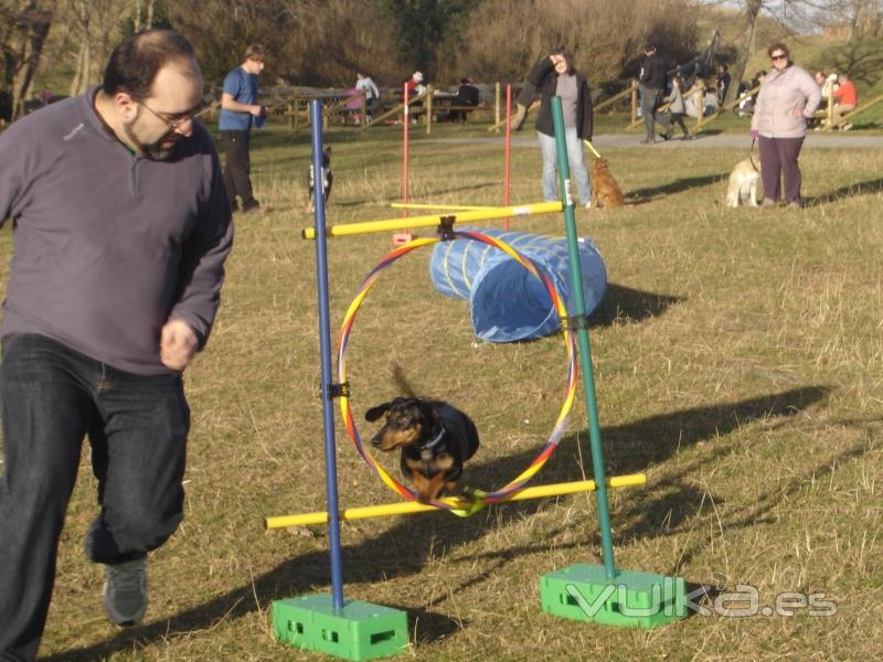 Adietramiento San Sebastian,Guipuzcoa, Agility Asoc. Noble y Fiel Amigo ANFA Enero 2011