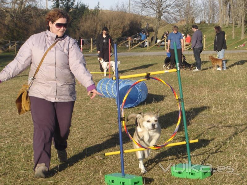 Adietramiento San Sebastian,Guipuzcoa, Agility Asoc. Noble y Fiel Amigo ANFA Enero 2011