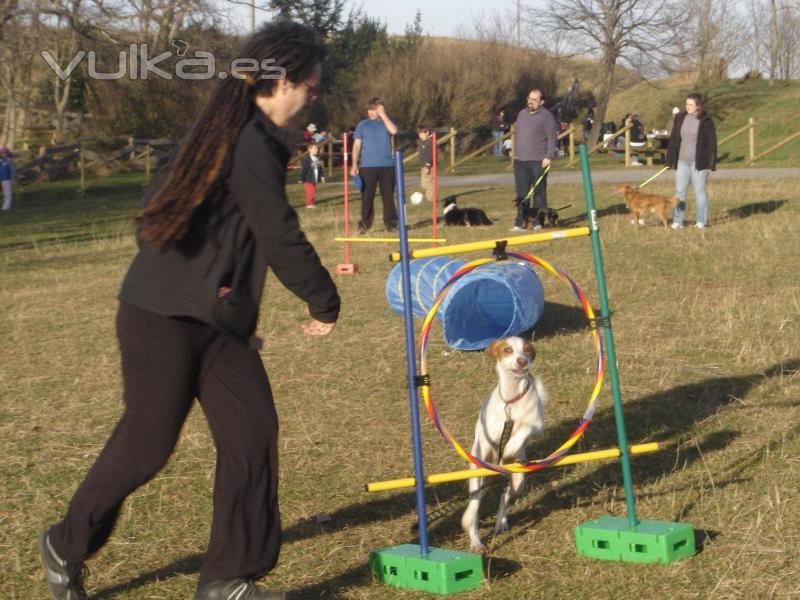 Adietramiento San Sebastian,Guipuzcoa, Agility Asoc. Noble y Fiel Amigo ANFA Enero 2011