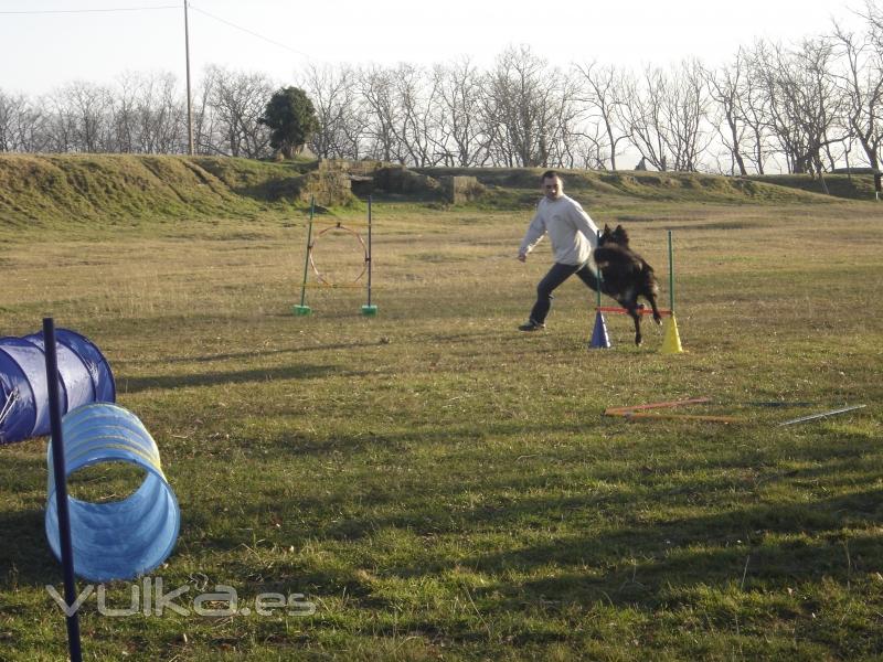 Adietramiento San Sebastian,Guipuzcoa, Agility Asoc. Noble y Fiel Amigo ANFA Enero 2011