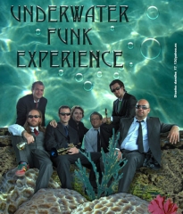 Voz, trombón, trompeta, saxo, guitarra, bajo, piano y batería es la alineación de esta banda de versiones ...