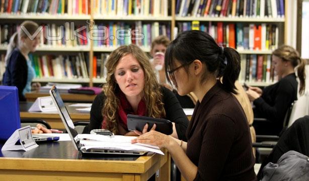 Estudiantes en la biblioteca