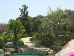 Jardines Olmedo