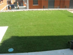Jardines Olmedo