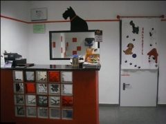 Interior de la tienda