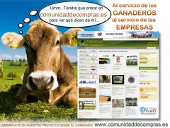 COMUNIDADDECOMPRAS.ES