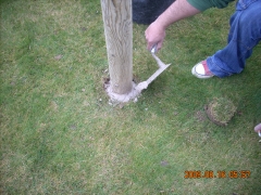 Instalacion en cespe