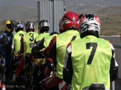 Grupo peto amarillo