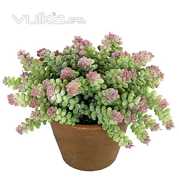 Planta artificial semillero sedum en lallimona.com