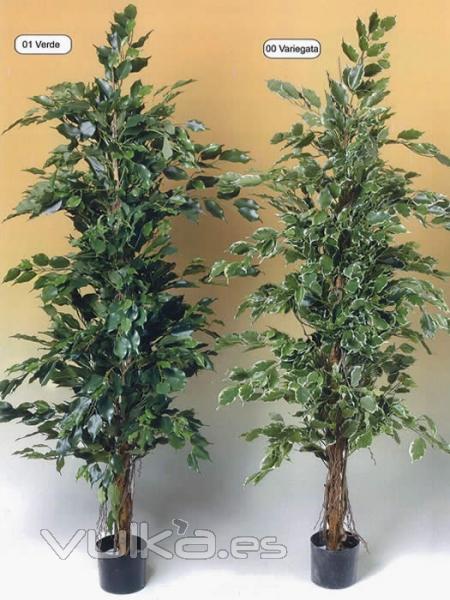 Ficus artificiales de calidad. FICUS ARTIFICIAL EXOTICA oasisdecor.com