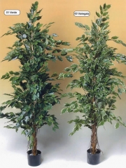 Ficus artificiales de calidad. ficus artificial exotica oasisdecor.com