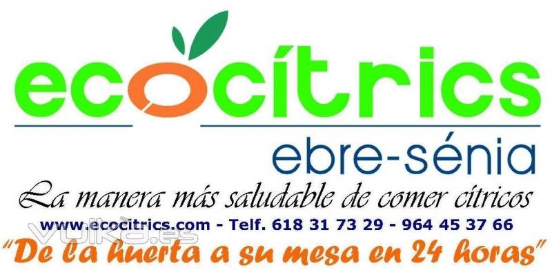 Proyectos: Ecocitrics Ebre-Snia SAT