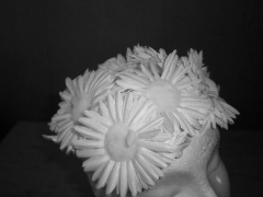 Novia