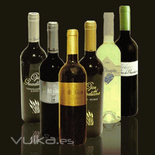 Te gusta el vino DO? haz tu eleccin en nuestra web