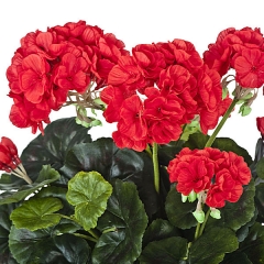 Planta artificial flores geranios rojos en lallimona.com detalle1